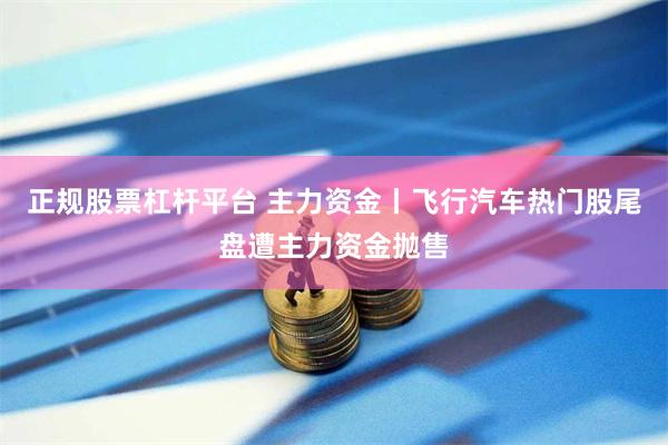 正规股票杠杆平台 主力资金丨飞行汽车热门股尾盘遭主力资金抛售