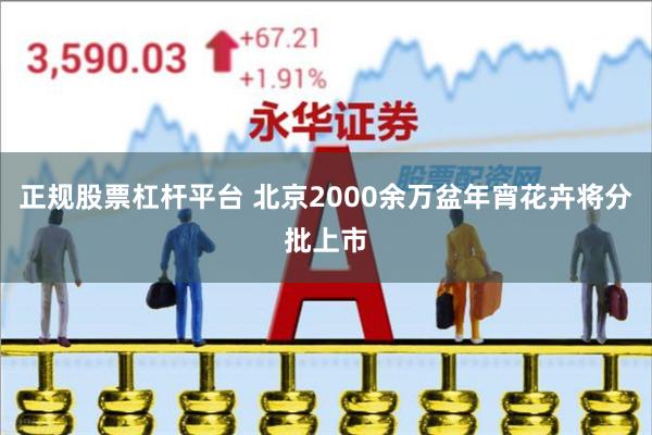 正规股票杠杆平台 北京2000余万盆年宵花卉将分批上市