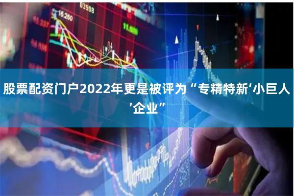 股票配资门户2022年更是被评为“专精特新‘小巨人’企业”
