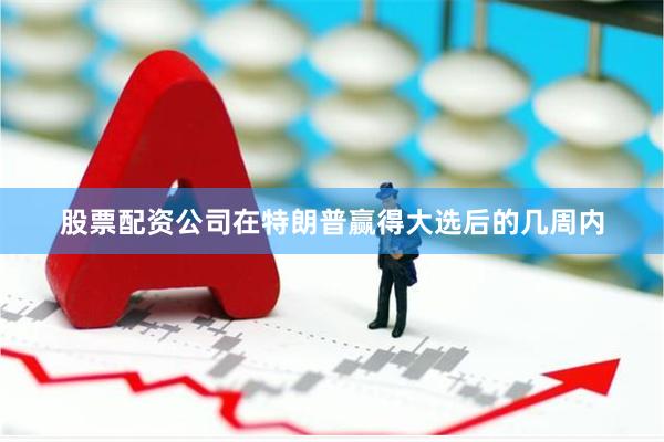 股票配资公司在特朗普赢得大选后的几周内