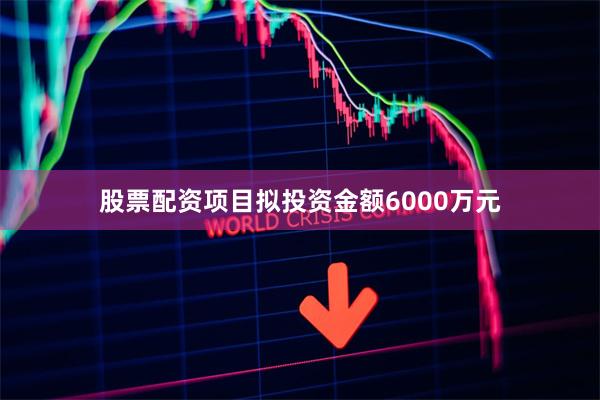 股票配资项目拟投资金额6000万元